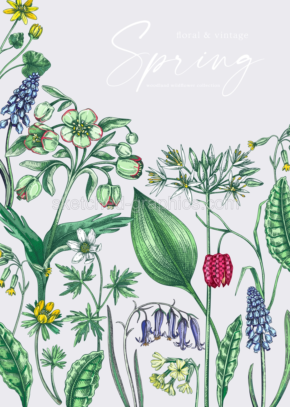 Delicate spring background. Wildflowers. Woodland wild flower sketches. Floral card, wedding invitation design template. Hand drawn vector illustration, NOT AI generated Illustration